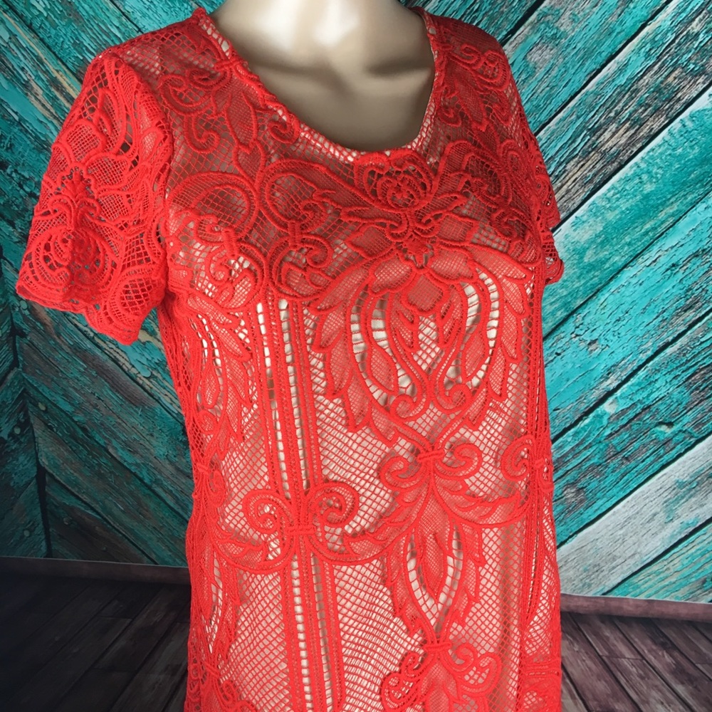 Margot Lace Dress From Stitch Fix - Picture 5 of 8